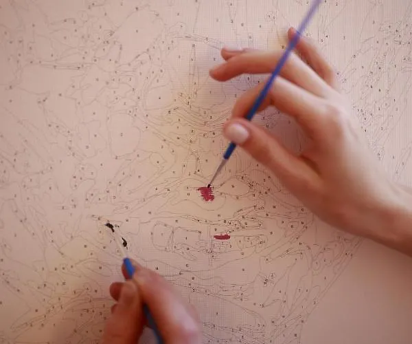 Patru 클루지나포카