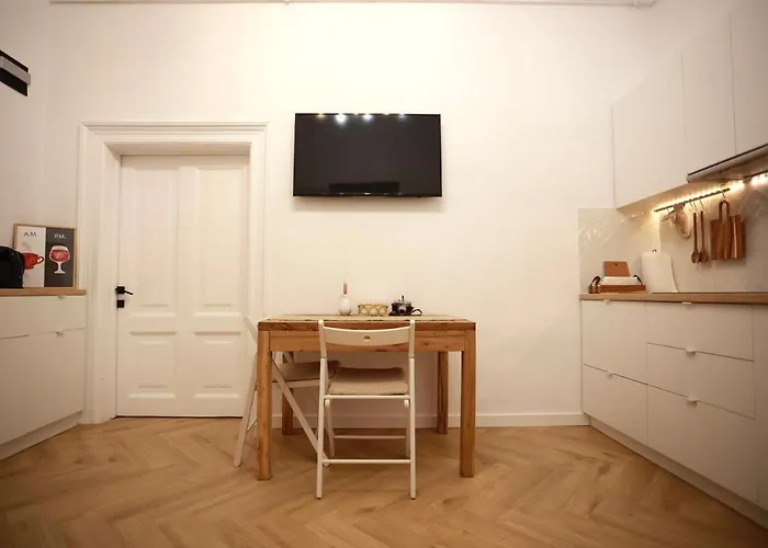 Patru * 클루지나포카