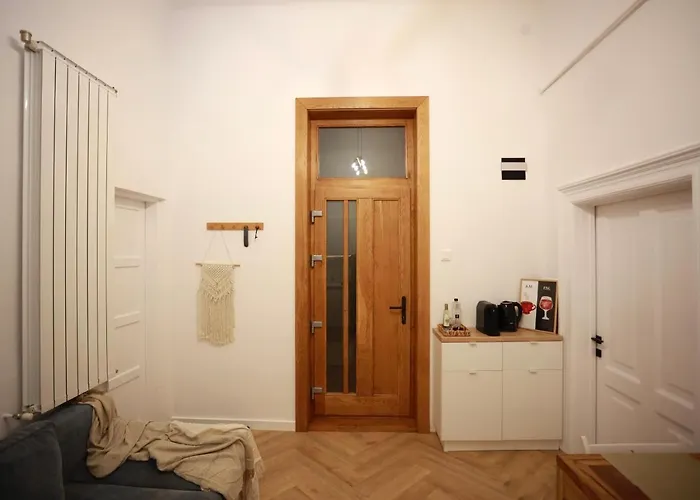 Patru 클루지나포카