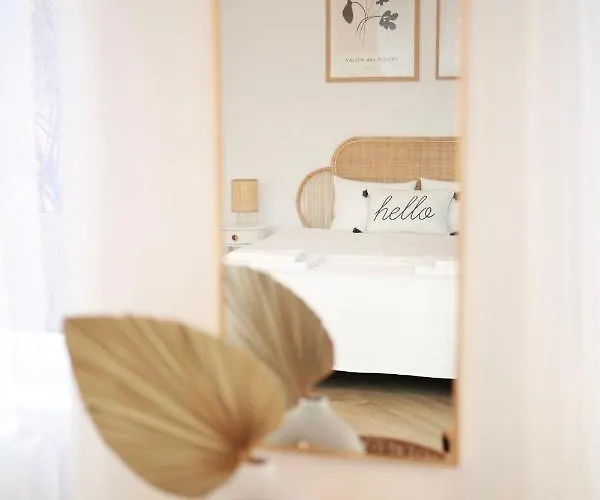 Patru * 클루지나포카